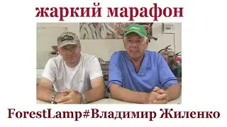 Жаркий марафон. ForestLamp # Владимир Жиленко