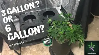 3 gallon Vs 6gallon Octopots | Octogrower