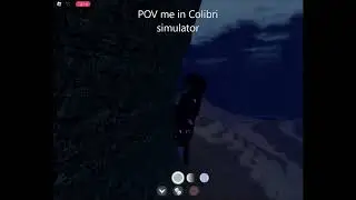 Playing colibri simulator in cos BE LIKE