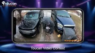 Toucan Video Contest March 2024