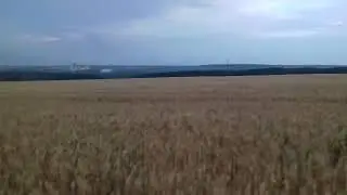 РУССКИЙ ХЛЕБ РАСТЁТ | АНДРЮХА БОЛТ