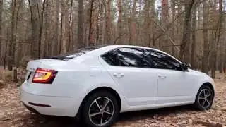 проблемы шкода октавия а 7. Проехал 80 тыс. на skoda octavia a 7