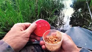 Летняя рыбалка на поплавок + РЕЦЕПТ УЛОВИСТОГО ТЕСТА НА КАРАСЯ