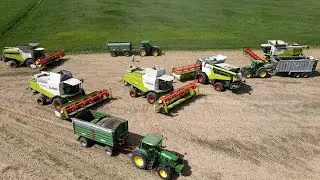 Rozpoczęcie żniw 2024 w Cieszymowie/ 5x Claas Lexion