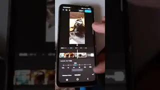 Como editar un video con Capcut