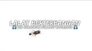 RELAKSASI SUARA LALAT BERTERBANGAN