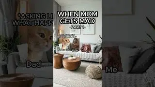 CAT MEMES 🐱 WHEN MOM GETS MAD PT.1 #relatable #family #cat #catlover #shorts