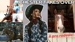 CHESTER TAKES OVER! 6 Rodeos!!
