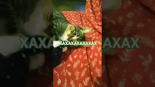 ЗАВТРА НГ!!!!!!!! #топ #хочуврек #ютуб #кот #марси #рек