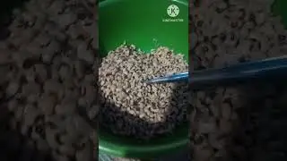 baião de dois, dia das mães kk