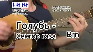 Голубь - Сектор газа