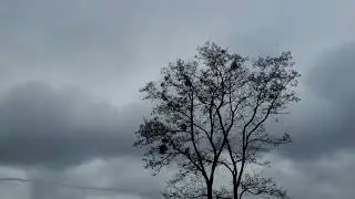 ⚡ Відео повітряного бою в небі Києва. Росія зазнає втрат!