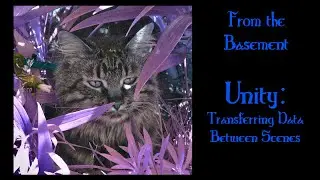 Unity 2019.3 - Transferring Data Between Scenes