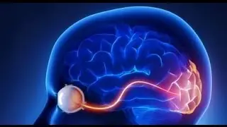 What Is Remote Viewing? INNER SPACE THE FINAL FRONTIER