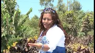 Por que no llamas(Solitaria de Tana)
