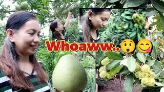 Pomelo ba kamo? 😲
