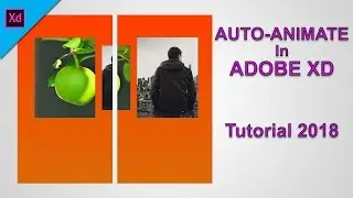 How To Auto Animate in Adobe XD | Parallax Effect | Auto Animate XD | Adobe Short Tutorials