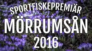 Mörrumsån Sportfiskepremiär 2016