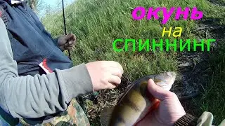 Ловля окуня! Что лучше силикон или вертушка?