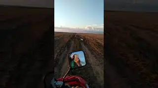 мотосезон. выбрались за грибами🚲🚲🚲
