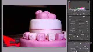 Lightroom Adjustment Brush - Basics
