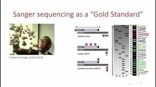 3   1   Основные понятия  Секвенирование по Сэнгеру Basic concepts  Sanger sequencing