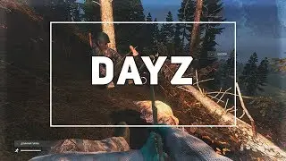 DayZ | В поисках лута