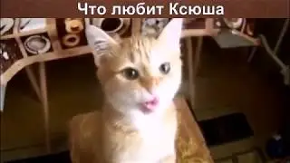 Ксюша