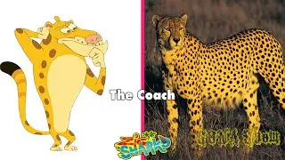 Zig & Sharko IN REAL LIFE 💥 All Characters 👉