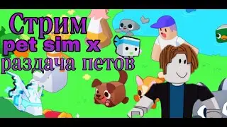 Стрим раздача Петов Pet simulator X