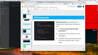 CSS Unit 1 - CSS Comments