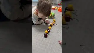 Занятие в нейрологопедическом цетре ЛогоДок