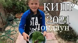 КИПР 2021 Локдаун | Чем заняться во время локдауна?