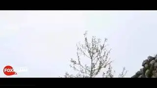 Çiftlik Bank Sahibi Mehmet Aydının Şarkısı (Troll)
