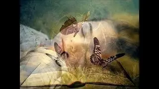 #стасовапишет Чтобы подружиться с бабочкой...Читает Илика