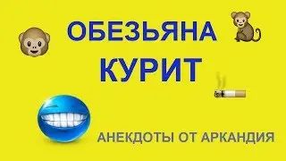 Обезьяна курит. И делится с друзьями)))
