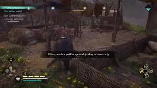 AC:V - Essesxe ending?