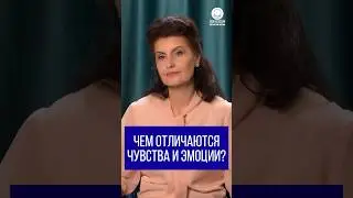 Чем отличаются чувства и эмоции?