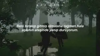Amin Habibi - Bigharar (Türkçe Çeviri)