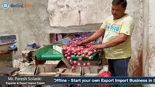 Exporting Onions: Practical Onion Export Process by Mr. Paresh Solanki #onionexport #exportprocess