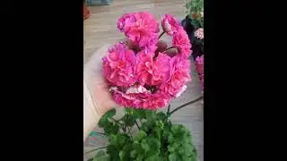 ЮВ-Византия
