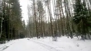 Видео-обращение.