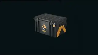 CSGO Weapon Case 2 Opening