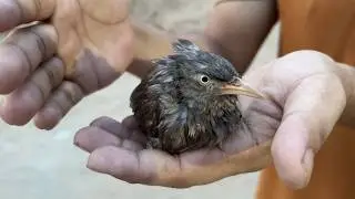 Saved a life today