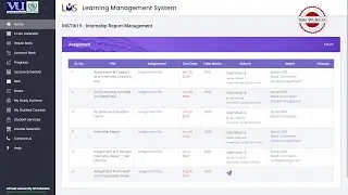 MGTI619 Internship Report l Management l Report Writing Service By #RaiseForSuccess