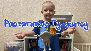 Растягиваю Гуджитсу