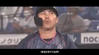 Professional baseball: Hit by pitch collection