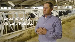 Dairy Automation in Texas with Lely