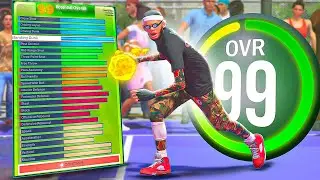 THIS 6'7 ALL AROUND DEMIGOD IS BREAKING NBA 2K24!! BEST GUARD BUILD 2K24