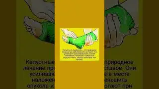 Капустные компрессы полезны помогают при артрите 